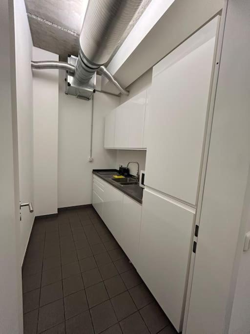 Elbapartment 29 Qm Mit Eigenem Badezimmer Hamburg Dış mekan fotoğraf